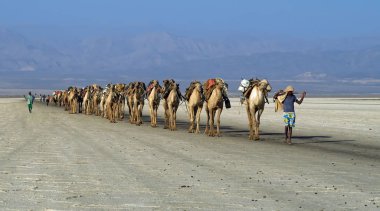 Danakil Çölü Etiyopya