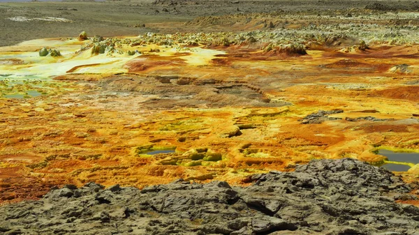 Danakil Desert Ethiopia