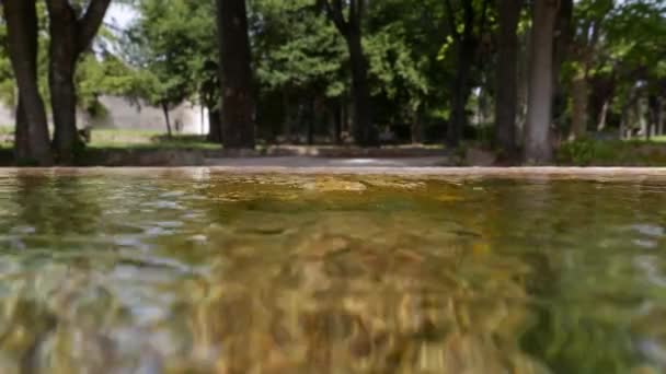 Detalle Enfoque Selectivo Manantial Agua Fuera Foco Paisaje Verde Caminar — Vídeos de Stock