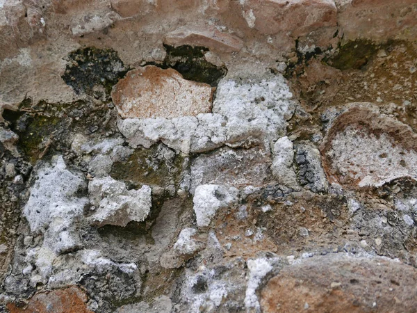 Nitrato de potasio en pared antigua — Foto de Stock