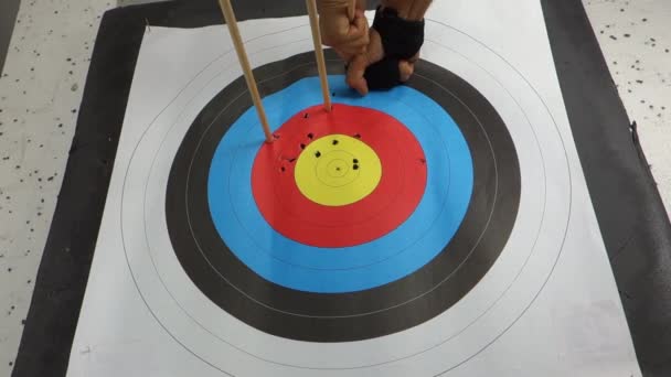 Pull Out Arrows Archery Target — Stock Video