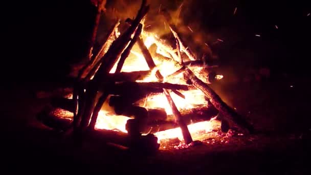 キャンプファイヤー夜の炎 — ストック動画