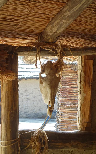 Cow skull bostad interiör — Stockfoto