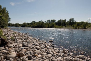 Sesia river on a sunny day, Piedmont, Italy clipart