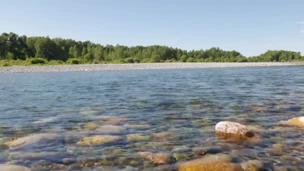 Sesia River Sunny Day Piedmont Italy — Stock Video