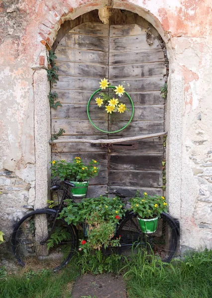 Blommande Cykel Framför Gammal Dörr — Stockfoto