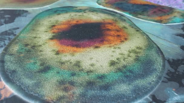 Carpet Colorful Dye Handmade Textile Coloring — Stock Video