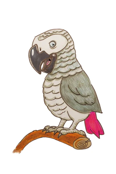 Grey Parrot Cartoon Illustration White Background — Stock Photo, Image