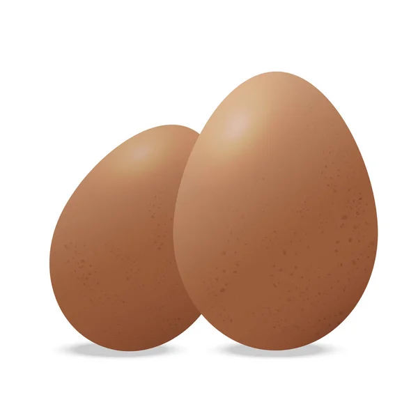 Dos Huevos Pollo Vector Sobre Fondo Blanco Gráfico — Archivo Imágenes Vectoriales