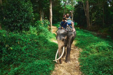 koh samui Tayland Tayland ormanlarında fil sürme çift