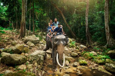 turist çift fil Tay ormanda nehir kıyısında koh samui Tayland üzerinde sürme.