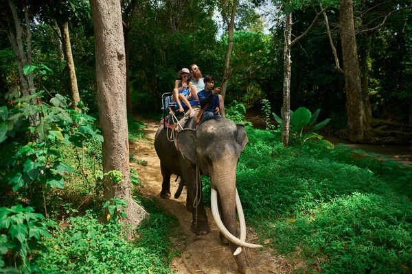 Koh Samui Tayland Tayland Ormanlarında Fil Sürme Çift — Stok fotoğraf