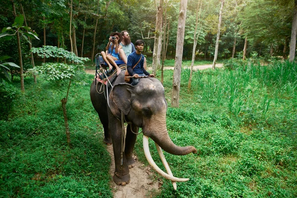 Koh Samui Tayland Tayland Ormanlarında Fil Sürme Çift — Stok fotoğraf