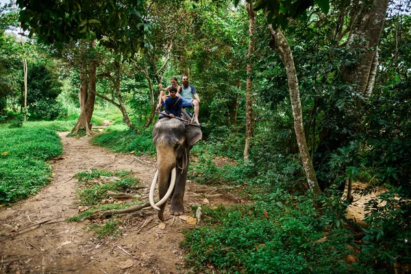 koh samui Tayland Tayland ormanlarında fil sürme çift