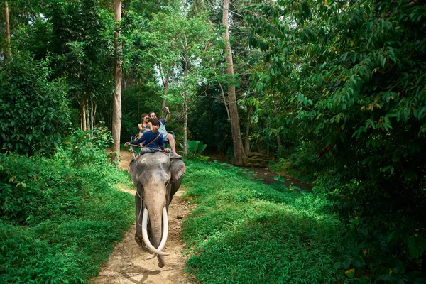 koh samui Tayland Tayland ormanlarında fil sürme çift