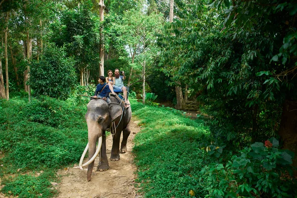 koh samui Tayland Tayland ormanlarında fil sürme çift
