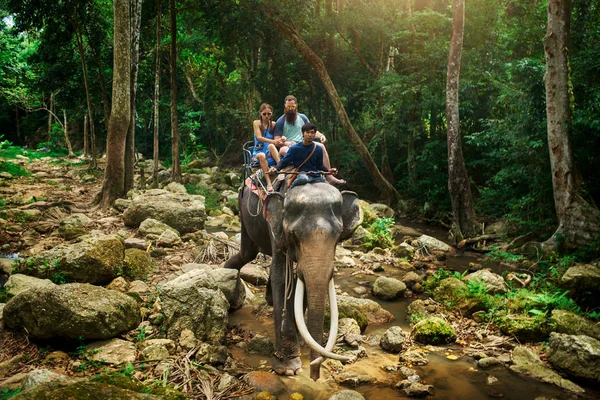 Casal Turistas Equitação Elefante Através Selva Tailandesa Por Rio Koh — Fotografia de Stock