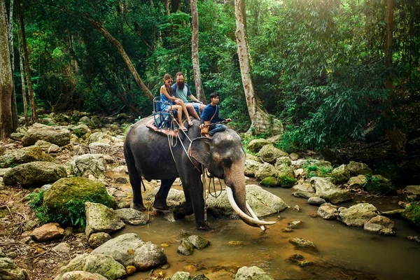 Turist Çift Fil Tay Ormanda Nehir Kıyısında Koh Samui Tayland — Stok fotoğraf