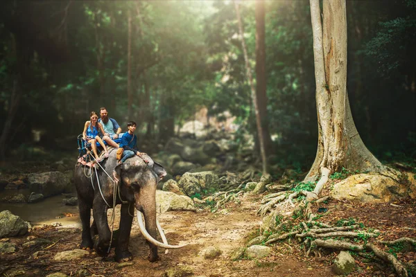 Turist Çift Fil Tay Ormanda Nehir Kıyısında Koh Samui Tayland — Stok fotoğraf