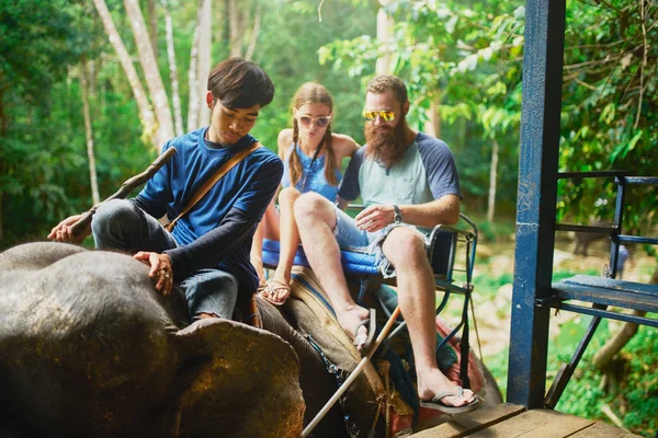 Casal Elefante Desmontagem Após Fim Passeio Plataforma — Fotografia de Stock