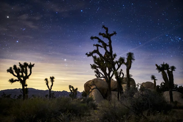 Gwiazdy Niebie Parku Narodowym Joshua Tree — Zdjęcie stockowe