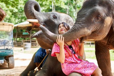 Tayland 'da bebek ve anne fillerle eğlenen dişi Tayland turisti.