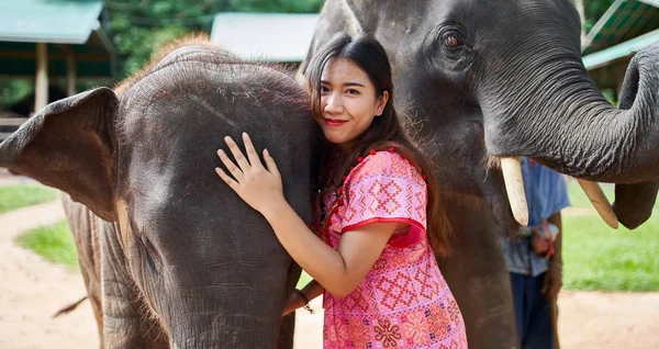 Turista Tailandês Fêmea Divertindo Com Bebê Mãe Elefante Santuário Tailândia — Fotografia de Stock