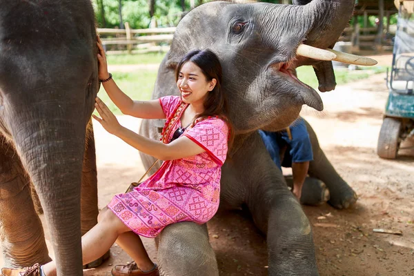 female thai tourist having fun with baby and mother elephant at sanctuary in thailand