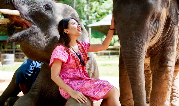 Žena Thajský Turista Baví Dítětem Matkou Slon Útočišti Thajsku — Stock fotografie