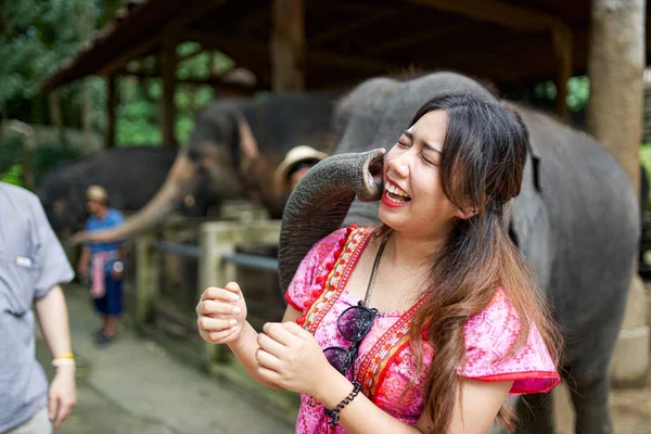 Tailandês Mulher Turista Elefante Santuário Chegando Rosto Chupado Por Tronco — Fotografia de Stock