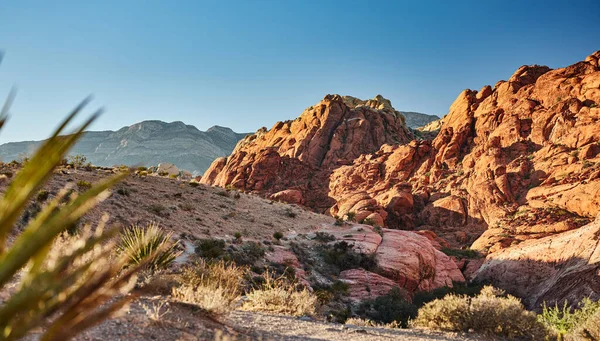 Landskap Foto Röd Bergskanjon Nationalpark Nevada — Stockfoto