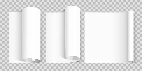 Curled blank paper sheet. Various scroll paper on transparent background.