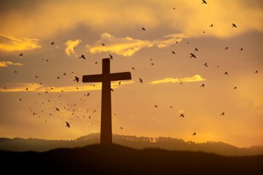 Kavramsal siyah haç sembolünü çimenlerin üzerinde gün batımında ya da gün doğumunda gökyüzünde hayal et.