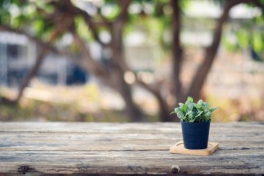 Kova içinde bahar çiçekleri 