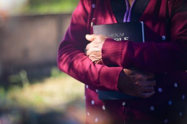 Doğada İncil 'i tutan yaşlı kadın.