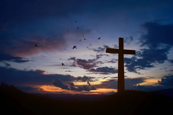 コンセプトコンセプト日没や日の出の空の上に草の中に黒い十字宗教のシンボルシルエット — ストック写真
