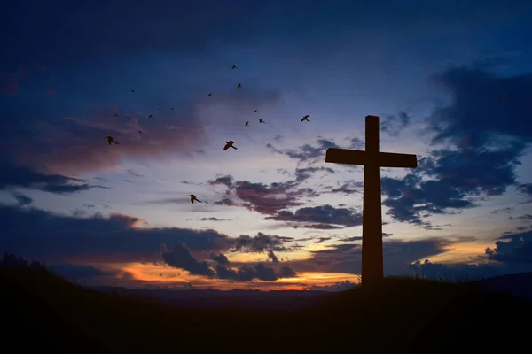 Concepto Conceptual Negro Cruz Religión Símbolo Silueta Hierba Sobre Puesta —  Fotos de Stock