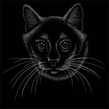 Vector logo cat for tattoo or T-shirt design or outwear. Cute print style cat background
