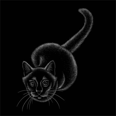 Vector logo cat for tattoo or T-shirt design or outwear. Cute print style cat background