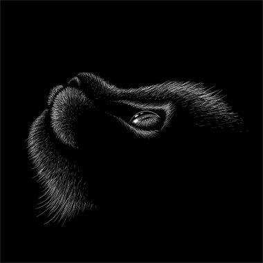 Vector logo cat for tattoo or T-shirt design or outwear. Cute print style cat background