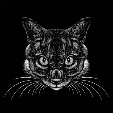 Vector logo cat for tattoo or T-shirt design or outwear. Cute print style cat background