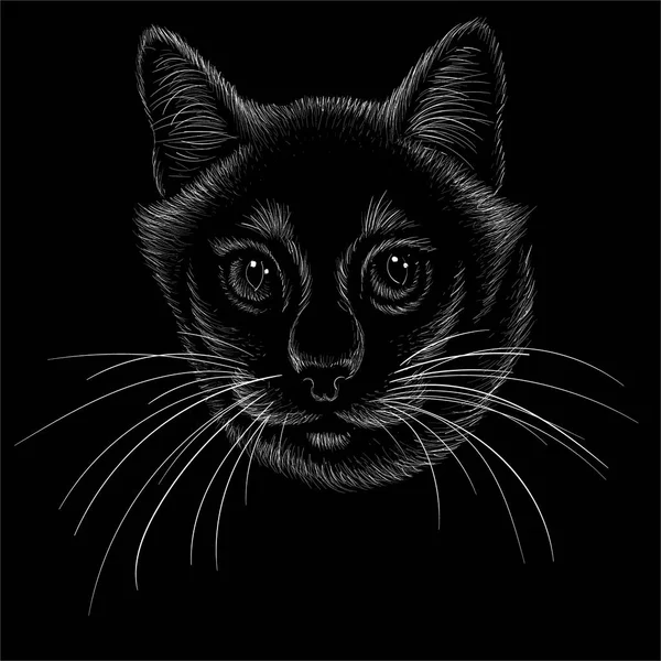 Logo Vectoriel Chat Pour Tatouage Shirt Design Tenues Mignon Style — Image vectorielle