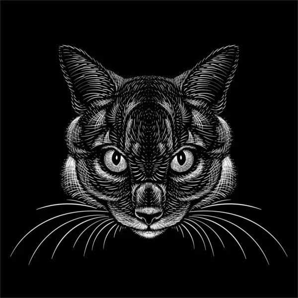 Vector Logo Cat Tattoo Shirt Design Outwear Cute Print Style — Stockvector