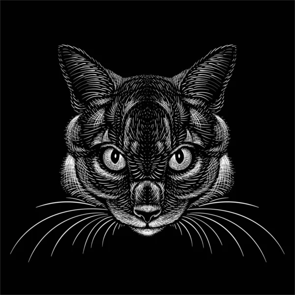 Vector logo cat for tattoo or T-shirt design or outwear. Cute print style cat background