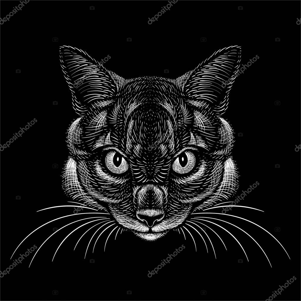 Vector logo cat for tattoo or T-shirt design or outwear. Cute print style cat background