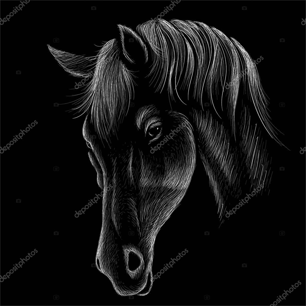 Vector logo horse for T-shirt print  design or outwear. Hunting style horse background