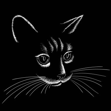 Dövme veya tişört tasarımı için kedi kafasının vektör görüntüsü. Siyah arkaplanda beyaz grafik çizgileri
