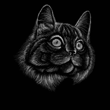 Dövme veya tişört tasarımı için kedi kafasının vektör görüntüsü. Siyah arkaplanda beyaz grafik çizgileri