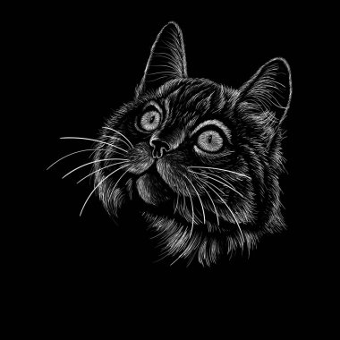 Dövme veya tişört tasarımı için kedi kafasının vektör görüntüsü. Siyah arkaplanda beyaz grafik çizgileri