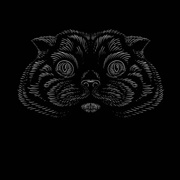 Imagem Vetorial Cabeça Gato Para Tatuagem Design Camiseta Linhas Gráficas —  Vetores de Stock